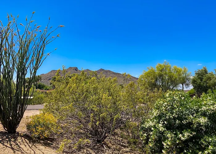 Tranquil Trail #6 * Carefree